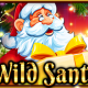Wild Santa
